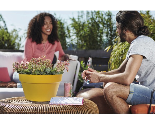 Szene im Freien mit einem Topf mit Sukkulenten auf einem Tisch, während zwei Personen sich unterhalten.