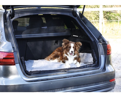 Hund liegt auf einer Hundedecke im Kofferraum eines Autos