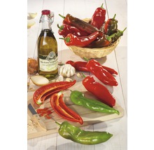 Stillleben mit Spitzpaprika, Olivenöl, Knoblauch und Zwiebeln auf einem Holztisch