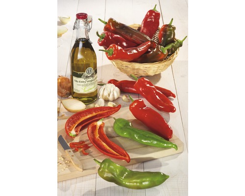Stillleben mit Spitzpaprika, Olivenöl, Knoblauch und Zwiebeln auf einem Holztisch