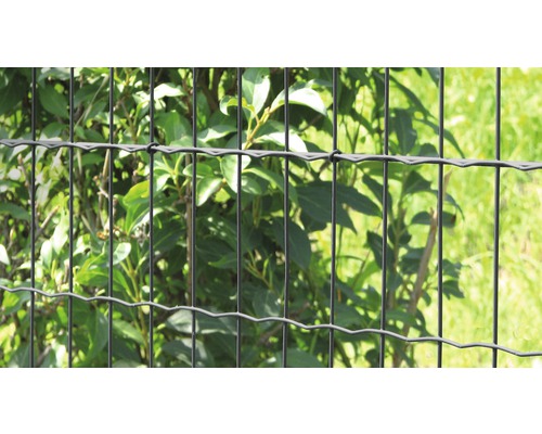 Doppelstabmattenzaun vor Grünpflanzen