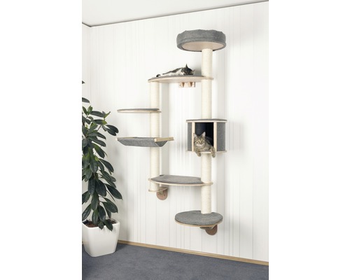 Wandmontierter Katzenkratzbaum mit mehreren Ebenen und zwei Katzen