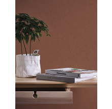 Dekorative Zimmerpflanze in einem Papierpflanzgefäß auf einem Holztisch mit Büchern