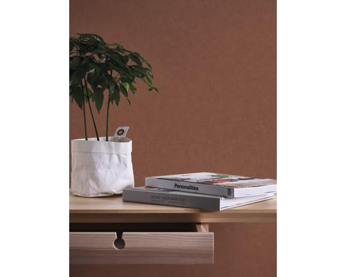 Dekorative Zimmerpflanze in einem Papierpflanzgefäß auf einem Holztisch mit Büchern