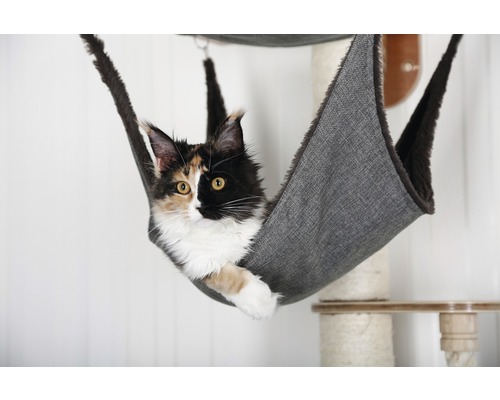Katze liegt in einer grauen Hängematte an einem Kratzbaum