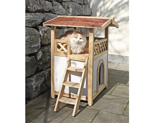 Katze in Katzenhaus mit Leiter und Dach