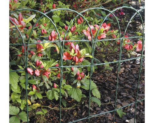 Ziergeflecht KAISERTHAL Bogen 10 m x 90 cm grün Dekorative grüne Gartenzaun aus Metalldraht vor blühenden Pflanzen.