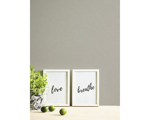 Dekorative Szene mit zwei gerahmten Bildern mit den Aufschriften Liebe und Atmen, einer Pflanze und Limetten