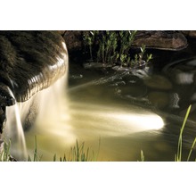 Gartenteich mit Wasserfall und Uferbepflanzung