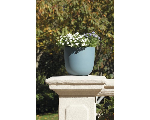 Blumentopf mit Pflanzen auf einer Balustrade