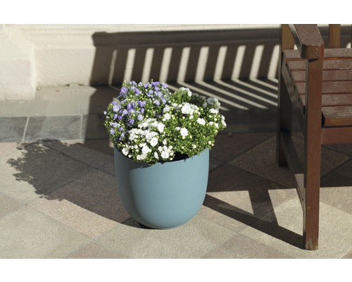 Blumentopf mit lila und weißen Blumen neben Holzstuhl