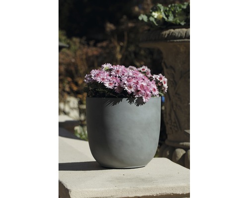 Blumentopf mit blühenden Pflanzen für den Außenbereich