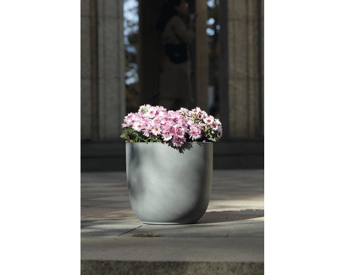 Grauer Pflanzkübel mit rosa Blumen
