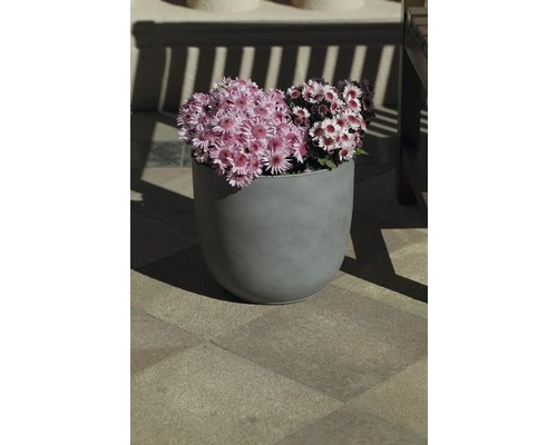 Grauer Blumentopf mit rosa und roten Chrysanthemen im Außenbereich.