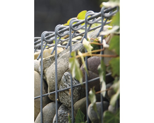 Nahaufnahme einer Gabione gefüllt mit Steinen und Pflanzen