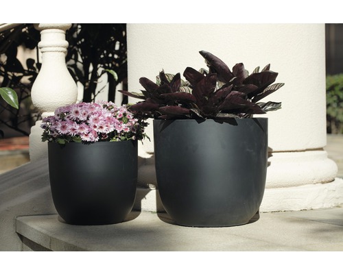 Zwei Pflanzgefäße mit Pflanzen auf einer Außentreppe