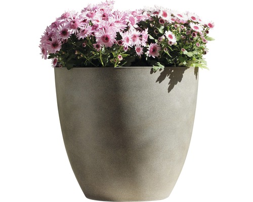 Blumentopf mit rosa Chrysanthemen