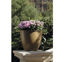 Blumentopf mit rosa und weißen Blumen auf einer Steinmauer im Freien.