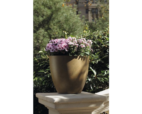 Blumentopf mit rosa und weißen Blumen auf einer Steinmauer im Freien.