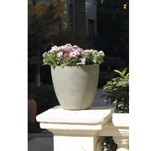 Blumentopf mit Blumen auf Mauersims