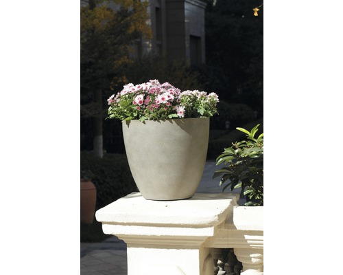 Blumentopf mit Blumen auf Mauersims
