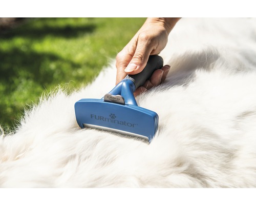 Eine Hand benutzt eine FURminator Fellbürste auf dem Fell eines Hundes.