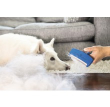 Eine Hand benutzt eine Fellbürste zum Entfernen von Hundehaaren neben einem Hund.