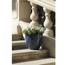 Blauer Blumentopf mit weißen und violetten Blumen auf einer Steintreppe