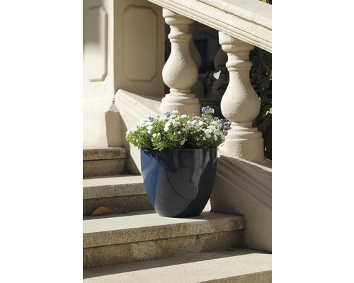 Blauer Blumentopf mit weißen und violetten Blumen auf einer Steintreppe