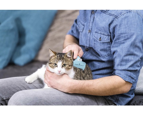 Eine Person bürstet eine Katze mit einer Fellbürste der Marke Furminator