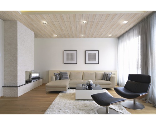 Dekorpaneel Quadro Plus Alaska Birke 12x200x1200 mm Wohnzimmer mit Deckenpaneelen, Sofa, Sessel und Kamin