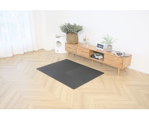 Wohnzimmer mit dunkler, rechteckiger Fussmatte auf dem Boden.