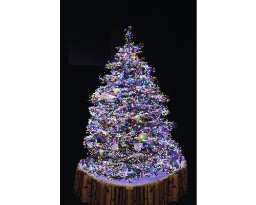 Geschmückter Weihnachtsbaum mit bunten Lichtern und Baumstammsockel