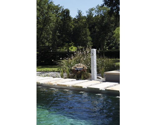 Gartenszene mit Pool, Naturstein-Dusche und dekorativen Elementen