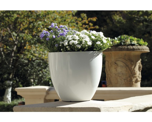 Weißer Pflanzkübel mit lila und weißen Blumen