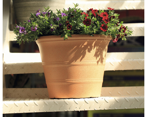 Blumentopf mit blühenden Pflanzen auf einer Treppe