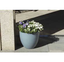 Blumenkübel mit weiß- und lilafarbenen Blüten