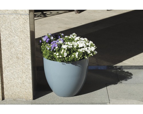Blumenkübel mit weiß- und lilafarbenen Blüten