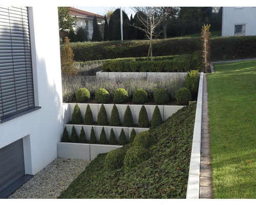 Terrassierter Garten mit Ziersträuchern und Rasenfläche.