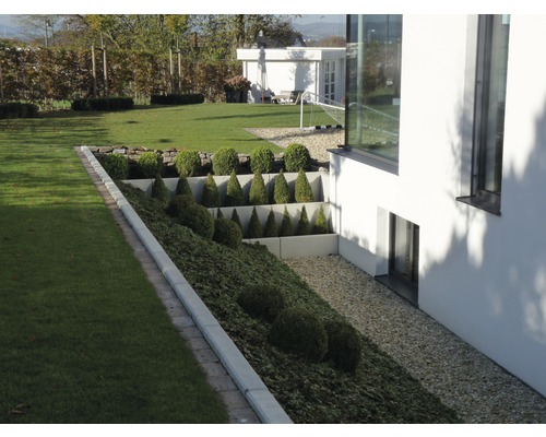 Ansicht eines Gartens mit Rasen, Pflanzen und Stützmauer