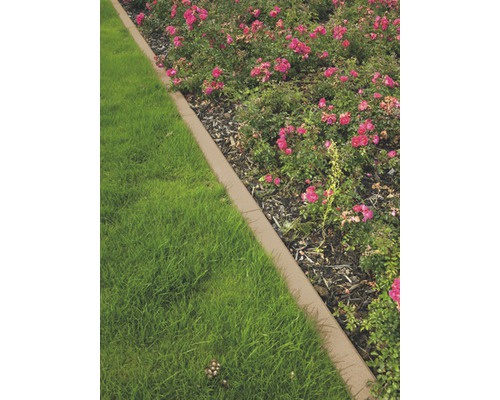 Gartenlandschaft mit Rasen, Blumen und Rasenkante