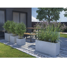 Gartenbereich mit Beton Pflanzkübeln, Bepflanzung und Sitzgruppe auf Terrasse