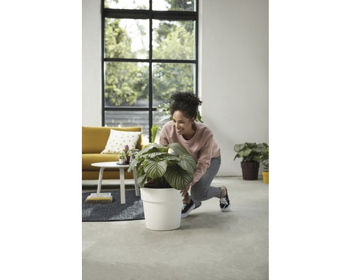 Frau arrangiert Zimmerpflanze in weißem Pflanzgefäß in einem hellen Wohnzimmer.