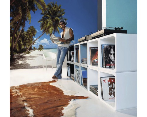 Wohnszene mit weißen Regalen, Plattenspieler und einer Person mit Schallplatte vor einer Strandtapete