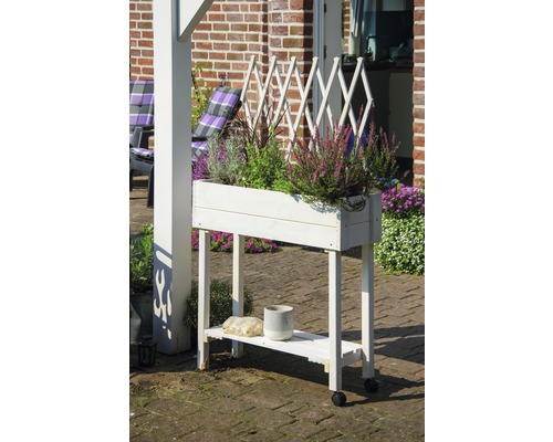 Blumenkasten aus Holz mit Rankgitter und Rollen für den Außenbereich