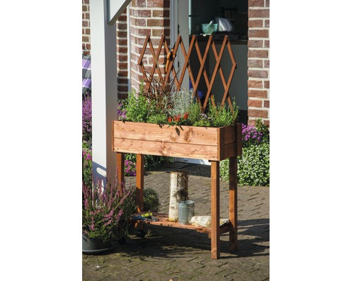 Hochbeet aus Holz mit Rankgitter im Garten.