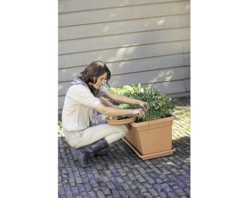 Frau erntet Kräuter aus einem Pflanzkasten im Garten