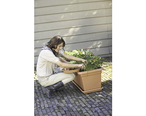 Frau arbeitet in einem erhöhten Gartenbeet mit Kräutern und Gemüse