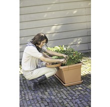 Eine Frau arbeitet in einem Hochbeet mit verschiedenen Gemüsesorten.