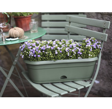Blumenkasten mit blühenden Blumen auf einem Gartenstuhl
